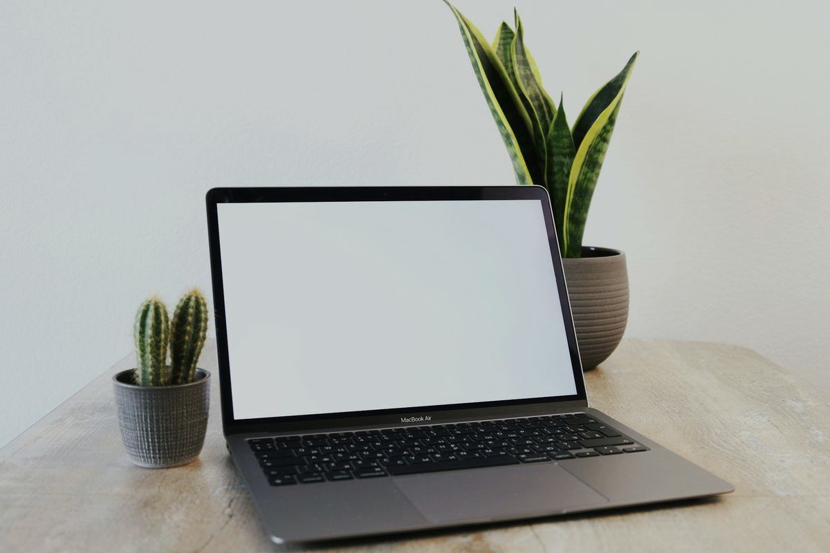 An open laptop on a light wooden table beside two potted plants