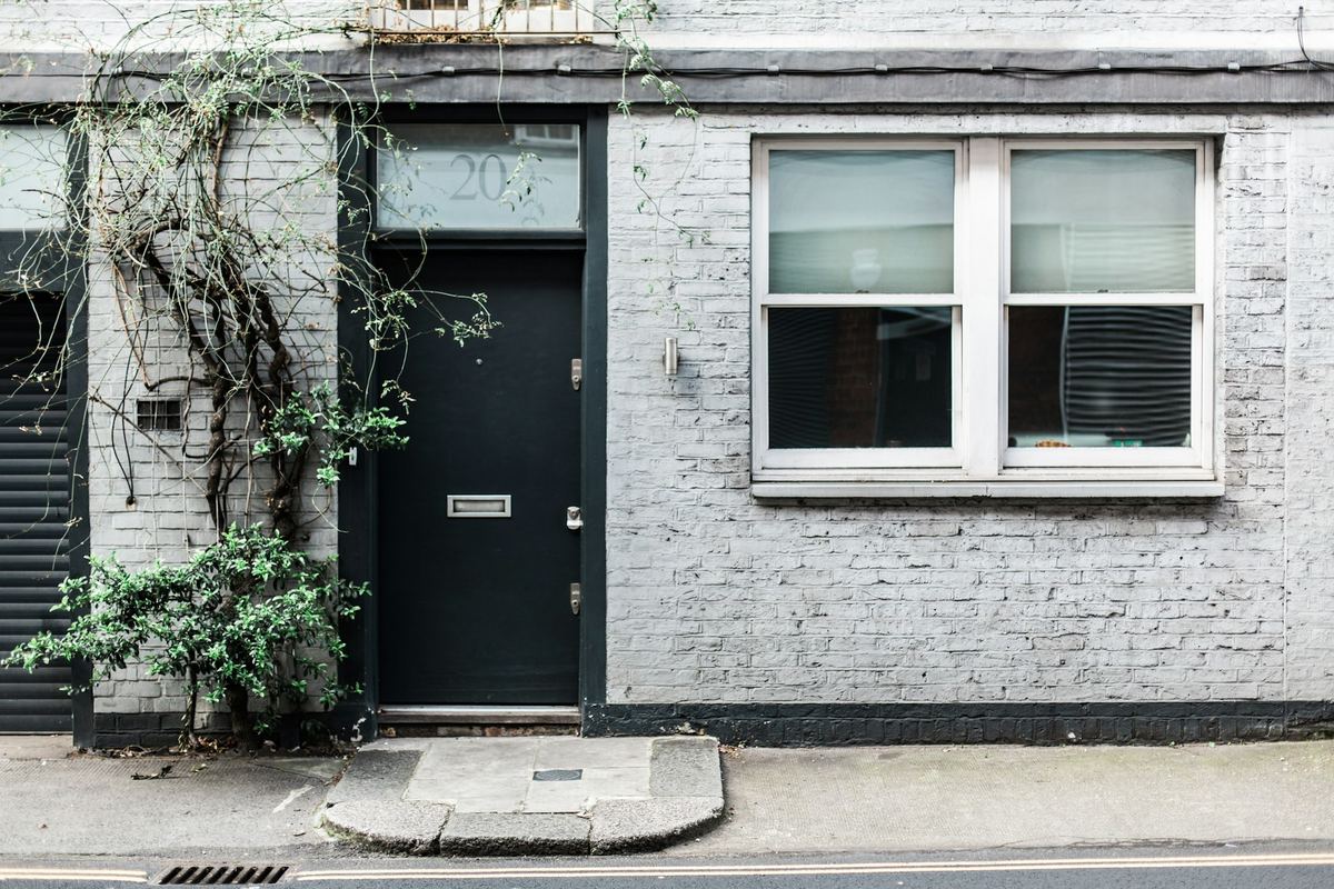 A dark wooden door beside a leafy tree