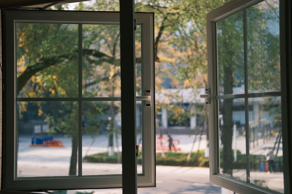 A view of trees through an open window