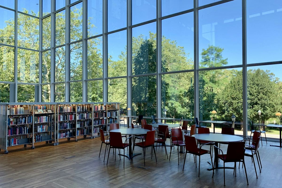 A bright university library with tall windows and study tables