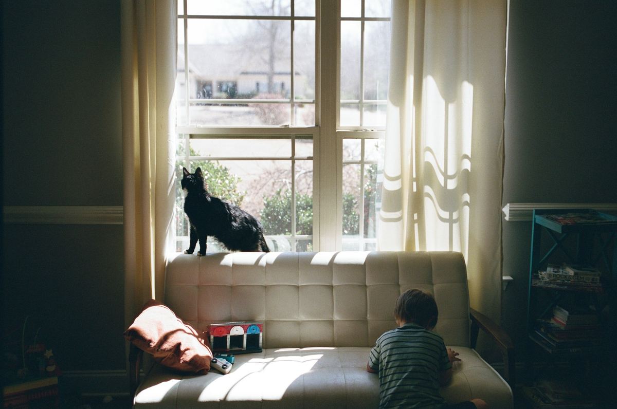 A child sitting quietly by a sunlit window