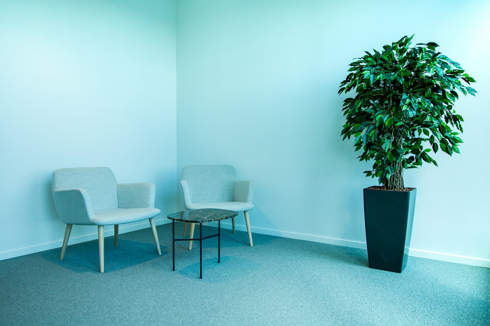 A welcoming counselling office with comfortable armchairs and plants