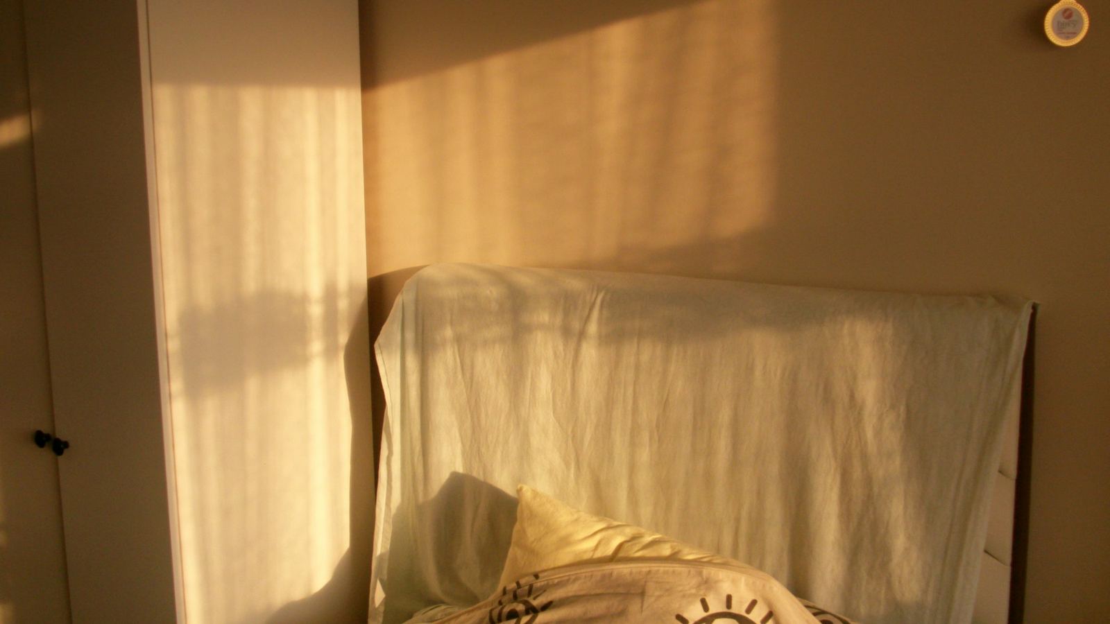 Morning sunlight falling across a bed in a quiet room