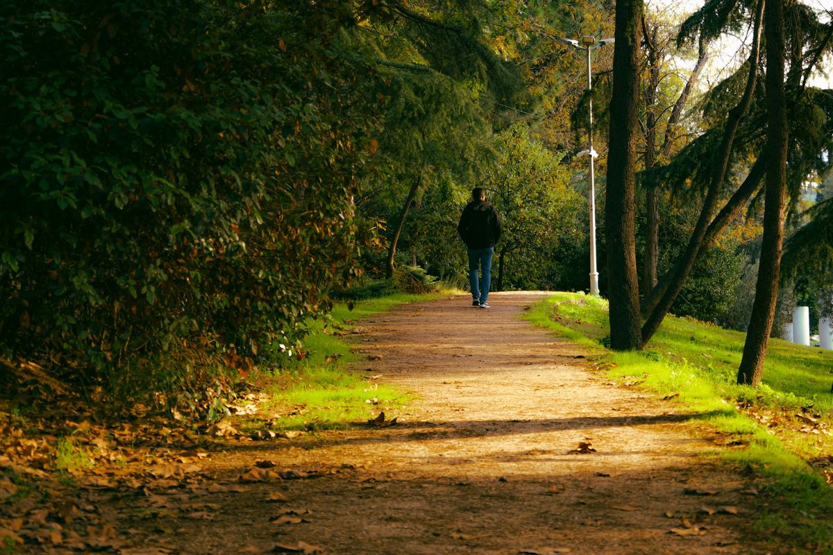 A person walking alone along a sunlit park path