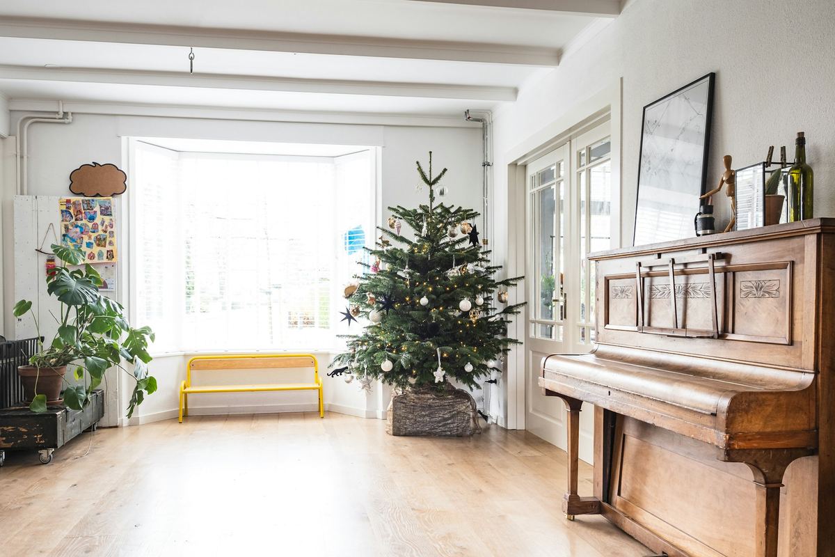 A bright room with a bench, a plant and a piano