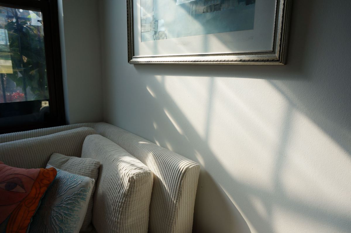 A living room corner with a sofa in soft daylight