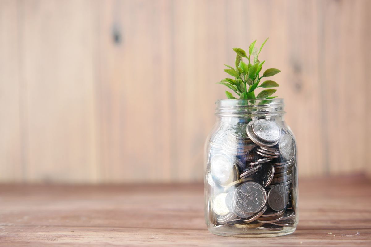 A glass jar of coins with a small plant growing from it