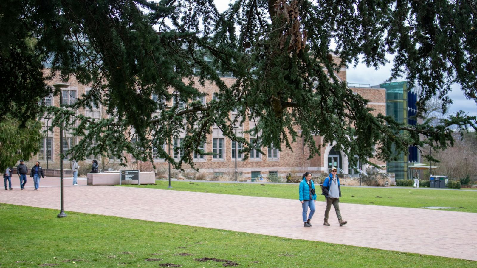 Students walking past a university building on a tree-lined campus