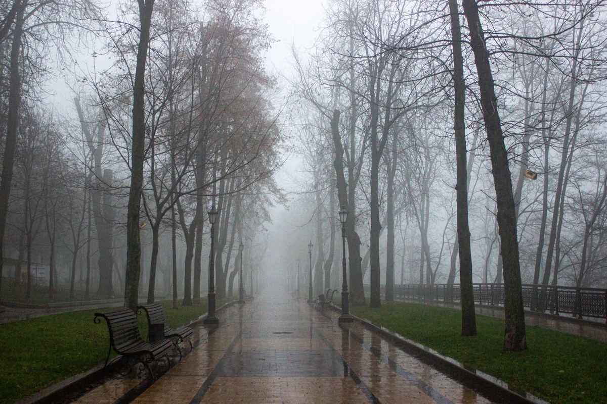 An empty pathway through a park on a misty morning