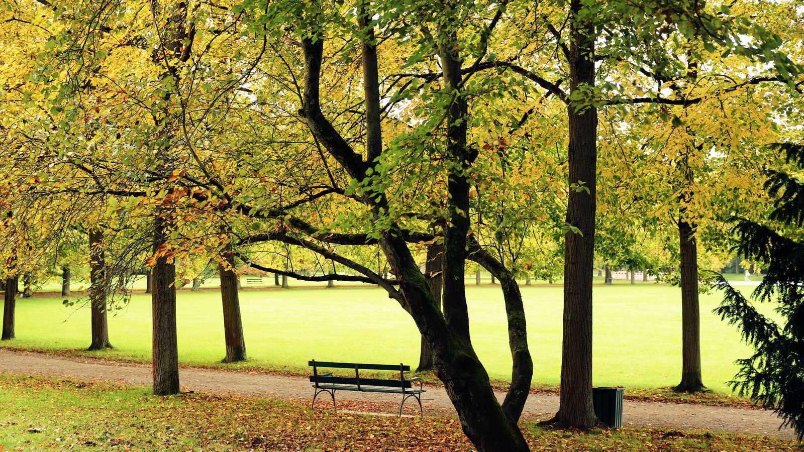 Grief After Losing a Parent: What Nobody Warns You About