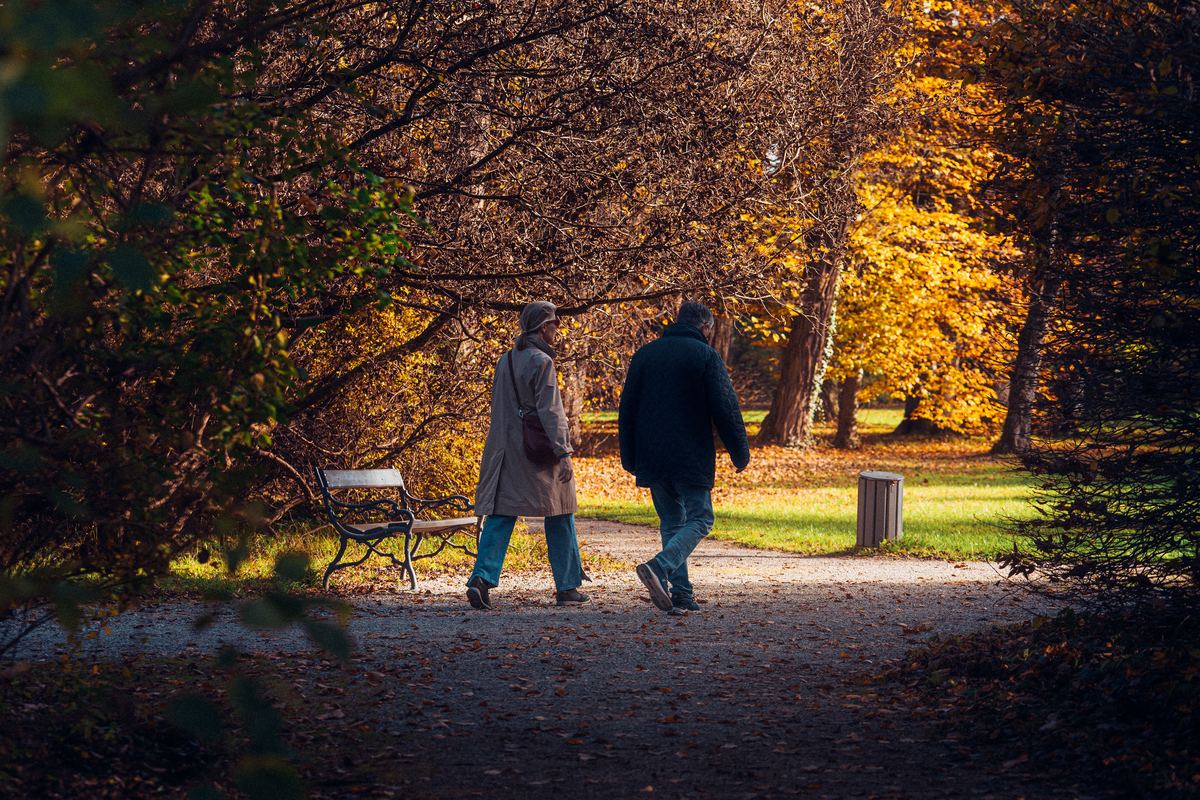 An older couple walking along a tree-lined path in autumn